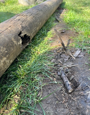 schoolfield beam damage 04 2026